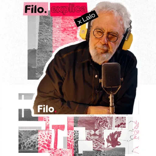 BOSQUES en peligro: Camino a una catástrofe | Filo Explica