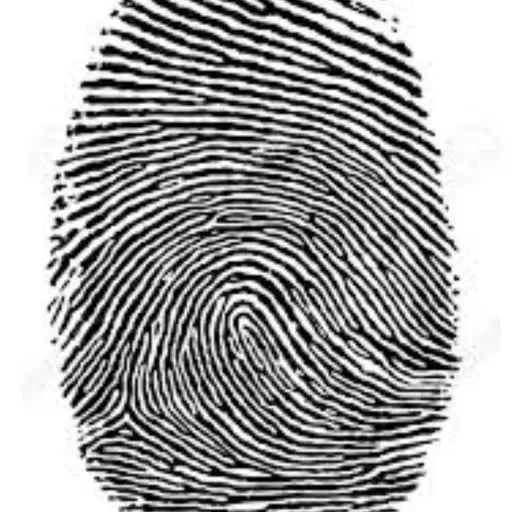 TURNO MAÑANA 24-10  (4° GRADO A)