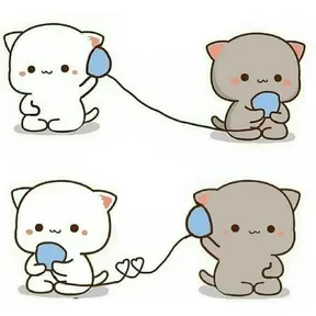gatitos4.0