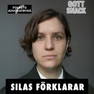Silas förklarar - Så har angiverilagen införts bakvägen