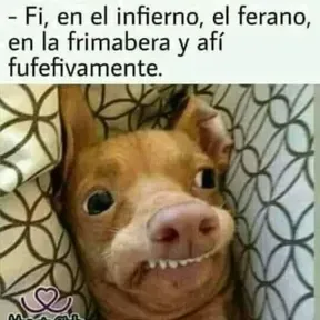 Anonimo