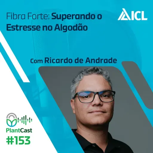 Plantcast #153 Fibra Forte: Superando o Estresse no Algodão