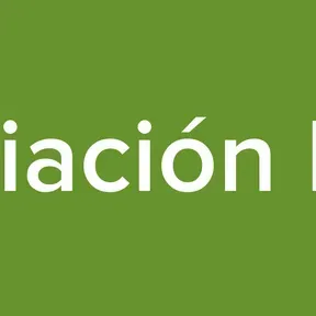 Asociación Ilícita