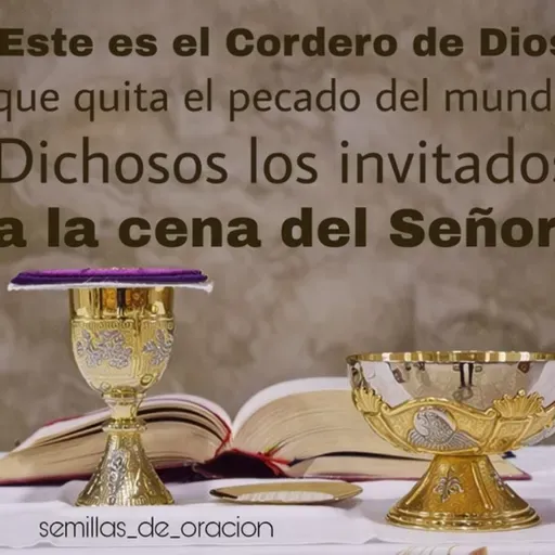 Domingo XXVIII T.O: Dichosos los invitados a la cena del Señor.
