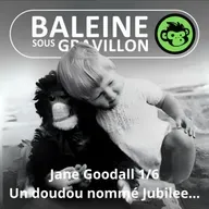 S07E21 Jane Goodall 1/6 : Il était une fois un doudou nommé Jubilee (Emmanuelle Grundmann)