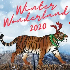 BSC Cosmo Winter Wonderland 2020