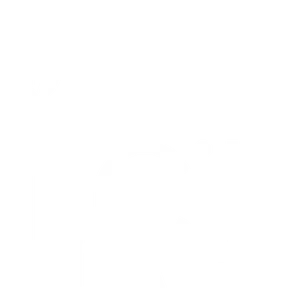 LITCity Radio