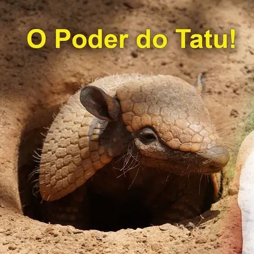 As Cartas Xamânicas, os Animais e seu Poder- O Tatu