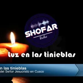 pruebas
