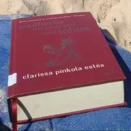 Mulheres que correm com os lobos | Parte.2- “A procura da curandeira, a escalada da montanha.”