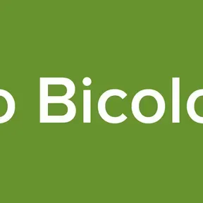 Radio Bicolor Fm