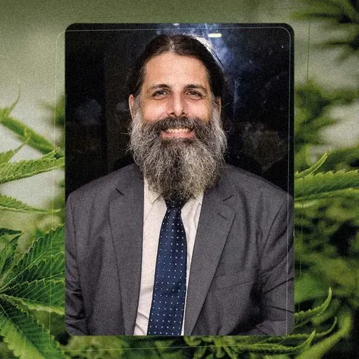 Maconha no Brasil: tudo que você precisa saber