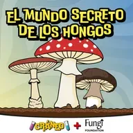 El mundo secreto de los hongos