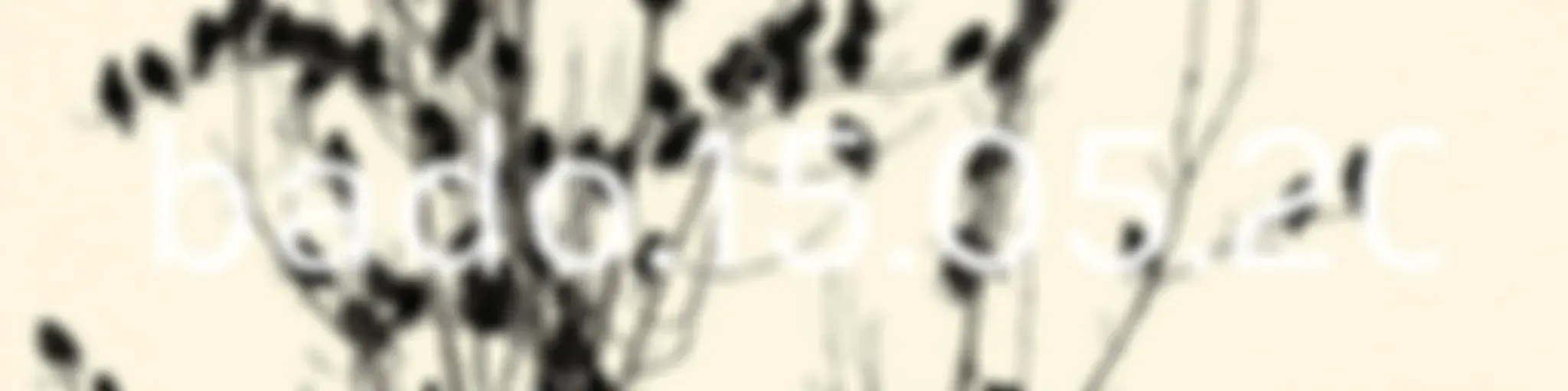 5 Minutos de Oração