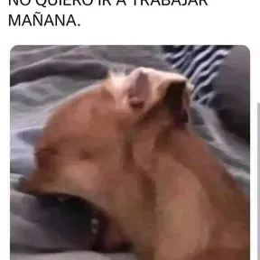 Carlos