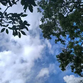 Única La Estrella