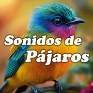 Sonidos de Aves para Crear una Armonía Interior