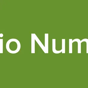 Radio Numbite