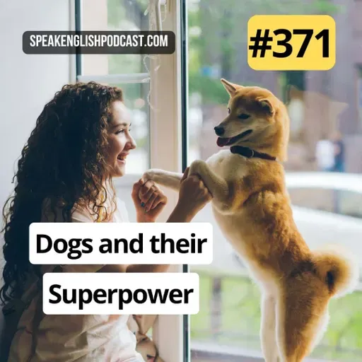 #371 Dogs and their superpower