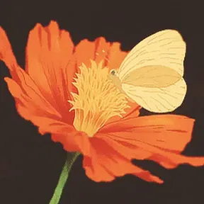 BDJHS24