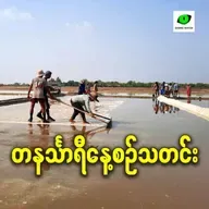 နိုဝင်ဘာလ ၅ ရက် တနင်္သာရီနေ့စဉ်သတင်း အစီအစဉ်