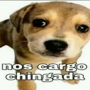Don nacho