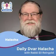 S0627 - Meleches Shabbos - (Klal 26-27 Siman 6) - Kosheir - 11 - Placing Cords or Replacing Cords