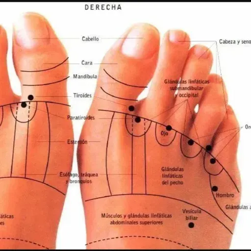 ¿Qué es la reflexología clínica? - Entrevista con Maby Dávila