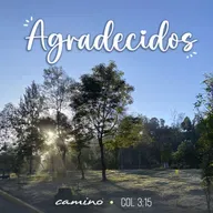 Oración 29 de abril (Agradecidos)
