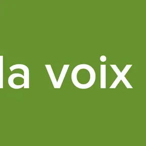 Radio la voix de l ile