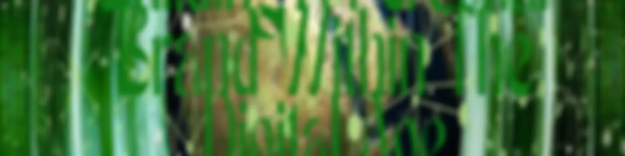 Building A Personal Brand Within The Digital Age