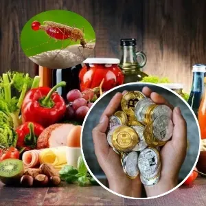 Troptions Corporation- Building Health, Food, and Hope Through Tokenized Innovation