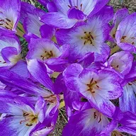 147 - A.K. 47 - March 8, 1947