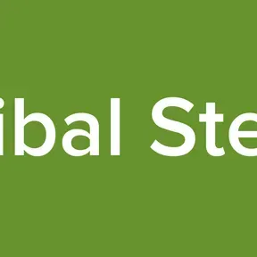 Nojibal Stereo