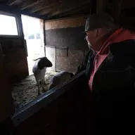 With two goats and a pony, an addiction treatment 'farm' takes root in Mass.
