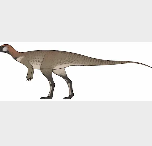 Dinozorların Sesi Kuşlarınkine Benziyor Olabilir