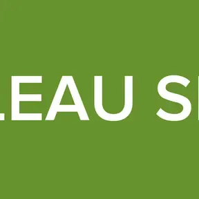TABLEAU SHOW