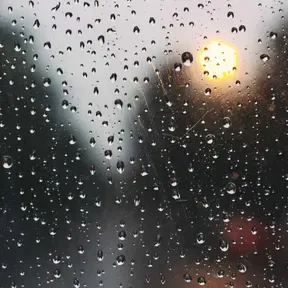 Rainnn