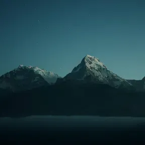 The Melancholic