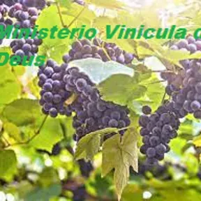 Radio vinicula de Deus Web app