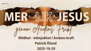 Mildhet - ödmjukhet i Andens kraft 2025-10-29 Patrick Ölund