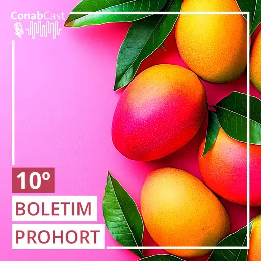 Boletim Prohort: Hortaliças ficam mais baratas no atacado no último mês