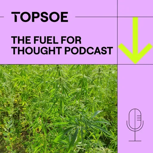 Building a Hempire: SGP’s bioenergy journey