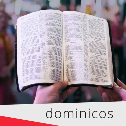 Miércoles 13 NOV 2024 - Comentario al Evangelio de hoy