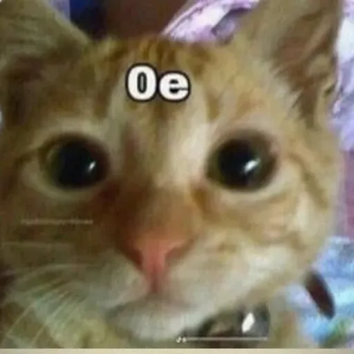 Trabajo biología de los ecosistemas