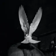 الأحكام الثلاثة 2/3 : زعما جاتشي