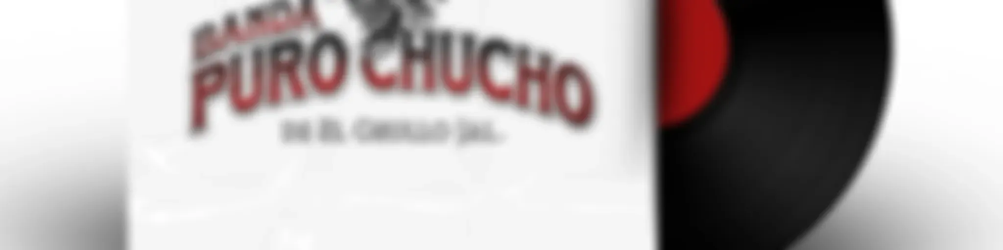 Banda Puro Chucho