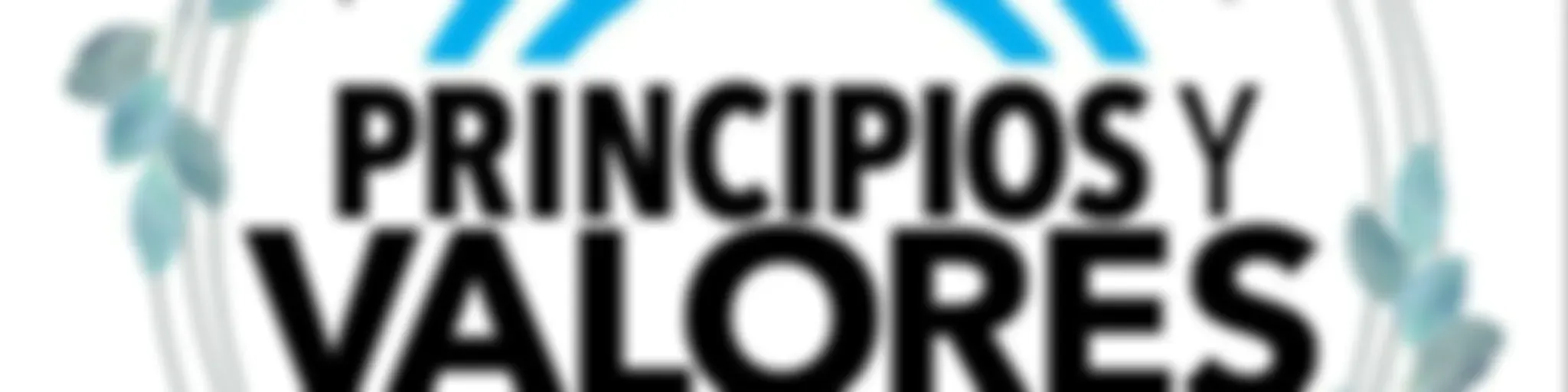 Principios y Valores