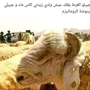 Mostako