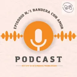 LA bandera Argentina, nuestro simbolo mas importante.